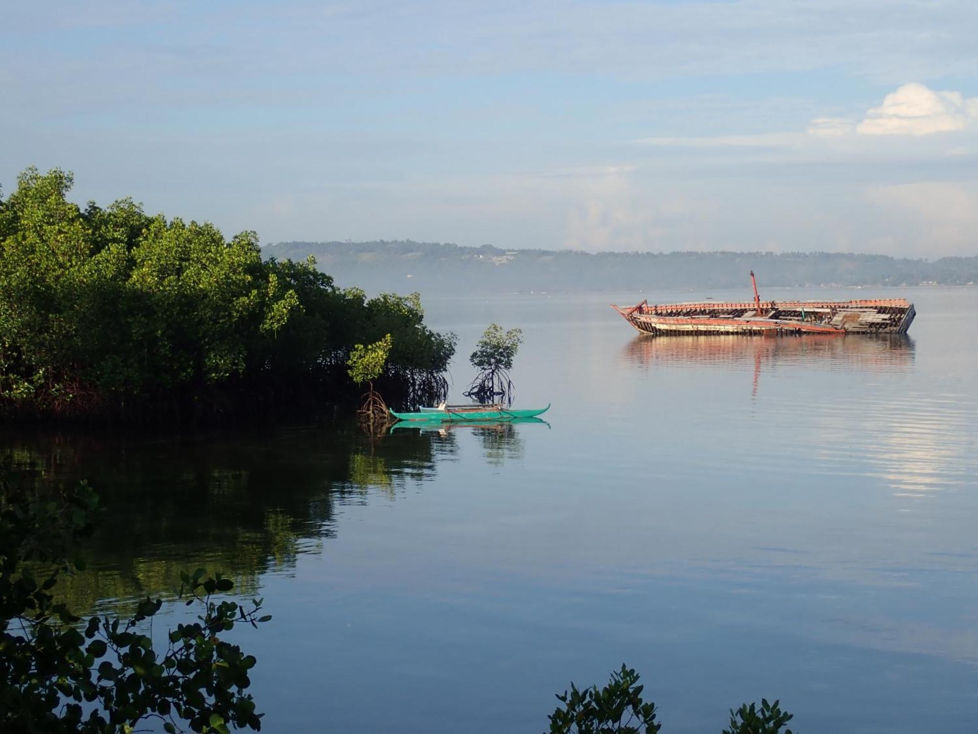 Eskapo Verde Lodge Moalboal บาดิอัน ภายนอก รูปภาพ