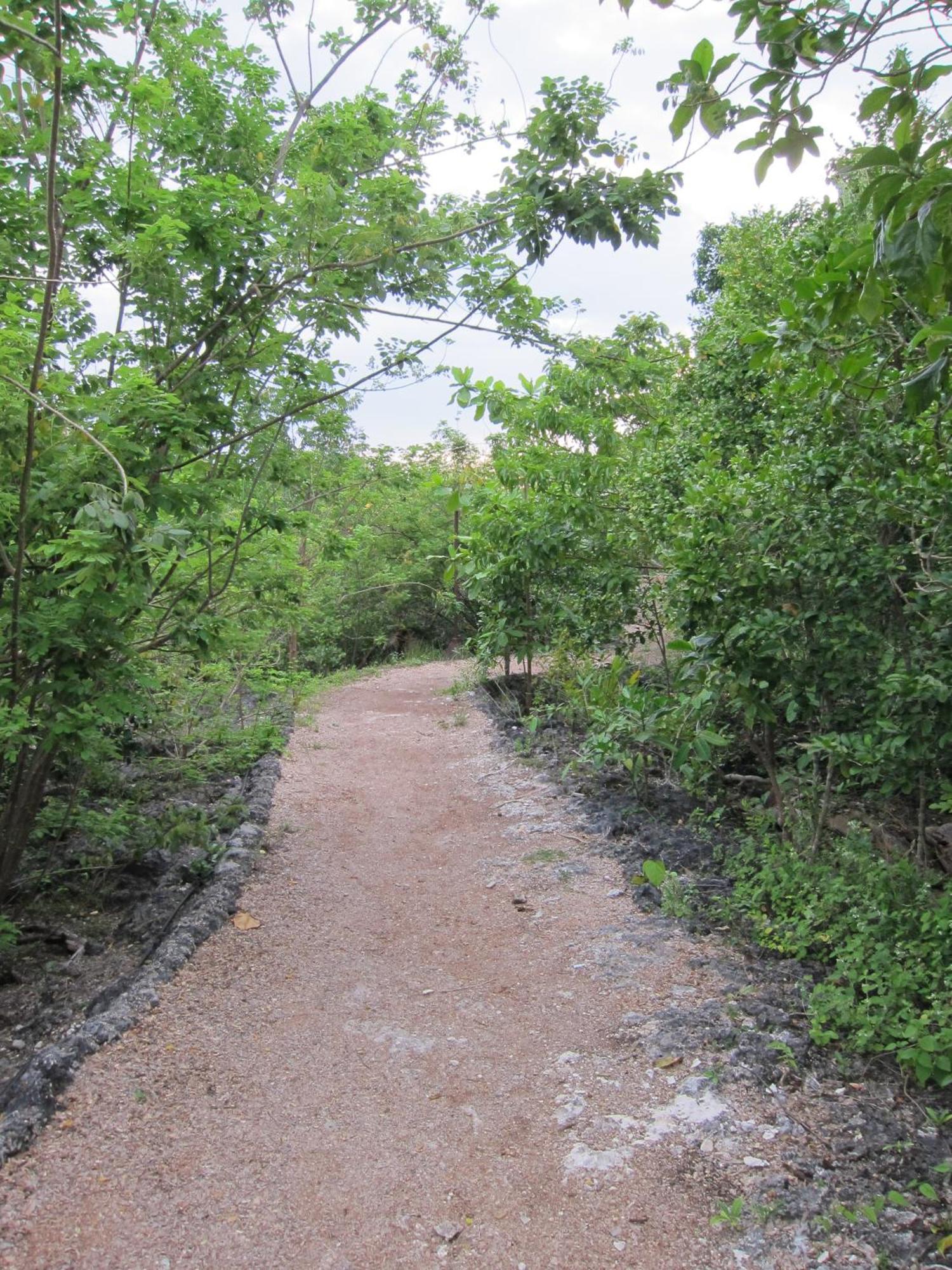 Eskapo Verde Lodge Moalboal บาดิอัน ภายนอก รูปภาพ