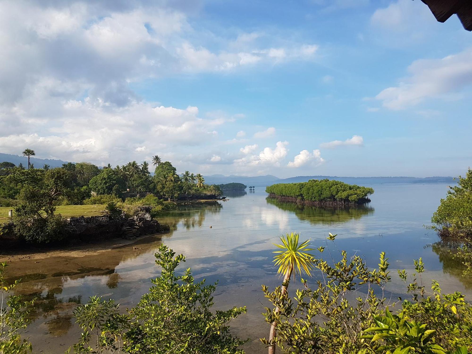 Eskapo Verde Lodge Moalboal บาดิอัน ภายนอก รูปภาพ